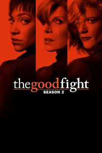 The Good Fight - Posters