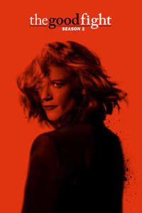 The Good Fight - Posters