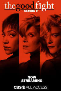 The Good Fight - Posters