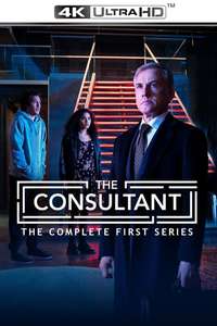 The Consultant - Posters