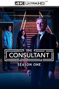 The Consultant - Posters