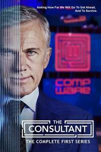 The Consultant - Posters