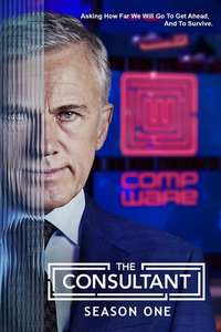 The Consultant - Posters
