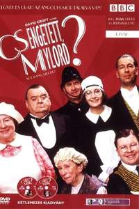 You Rang  M'Lord? - Poster
