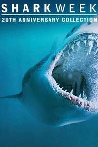 Shark Week - Posters