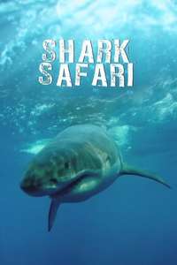 Shark Week - Posters