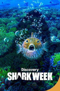 Shark Week - Posters