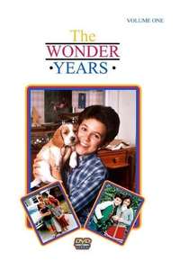 The Wonder Years - Poster
