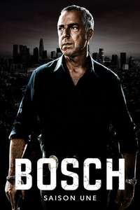 Bosch - Posters
