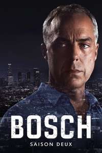 Bosch - Posters
