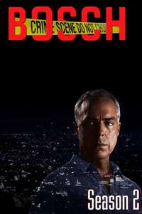 Bosch - Posters