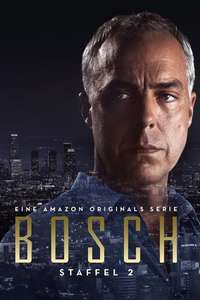 Bosch - Posters