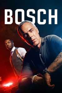Bosch - Posters