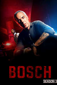 Bosch - Posters