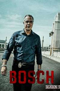 Bosch - Posters