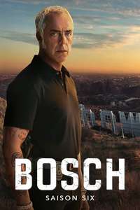 Bosch - Posters