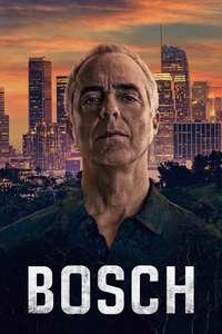 Bosch - Posters