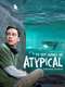 Atypical : Season 4