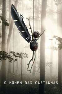 The Chestnut Man - Posters
