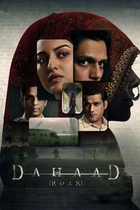 Dahaad - Posters