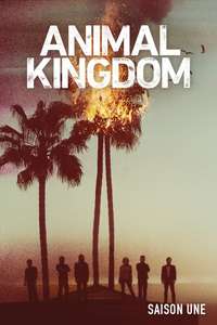 Animal Kingdom - Posters