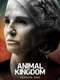 Animal Kingdom : Season 1