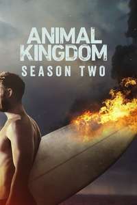 Animal Kingdom - Posters
