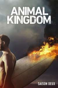 Animal Kingdom - Posters