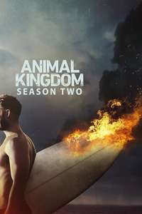 Animal Kingdom - Posters