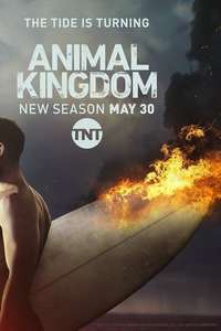 Animal Kingdom - Posters