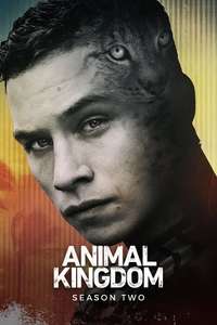 Animal Kingdom - Posters