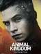 Animal Kingdom : Season 2