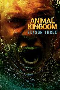 Animal Kingdom - Posters