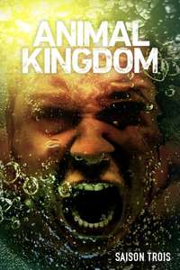 Animal Kingdom - Posters