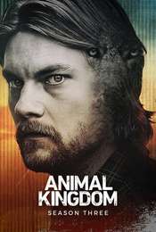 Animal Kingdom Season 3