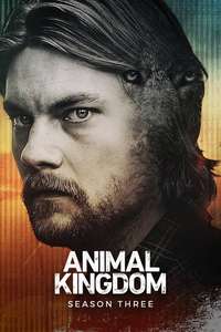 Animal Kingdom - Posters
