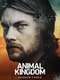 Animal Kingdom : Season 3