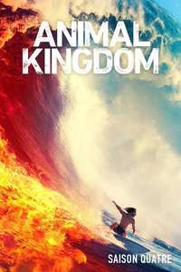 Animal Kingdom - Posters