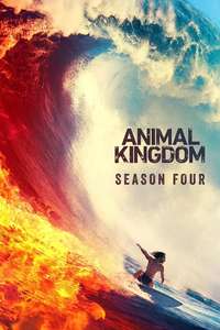 Animal Kingdom - Posters