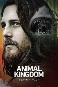 Animal Kingdom - Posters