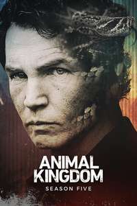Animal Kingdom - Posters