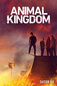 Animal Kingdom - Posters