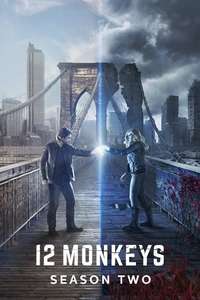 12 Monkeys - Posters