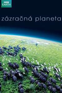 Planet Earth - Posters