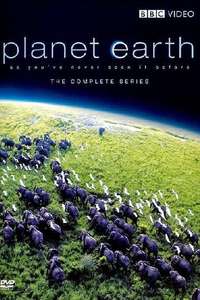 Planet Earth - Posters