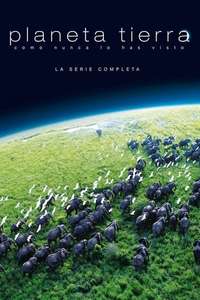 Planet Earth - Posters