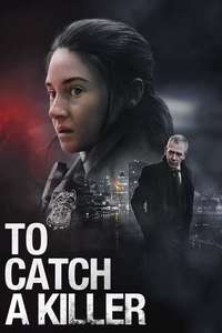 To Catch a Killer - Poster