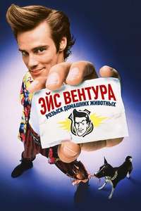 Ace Ventura: Pet Detective - Poster