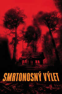 Cabin Fever - Poster