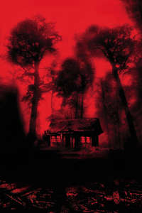 Cabin Fever - Poster